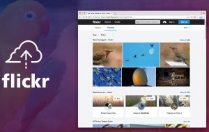 How to Backup Your Flickr Photos?
