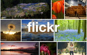 Free Flickr Photo Backup Tools