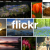 Free Flickr Photo Backup Tools