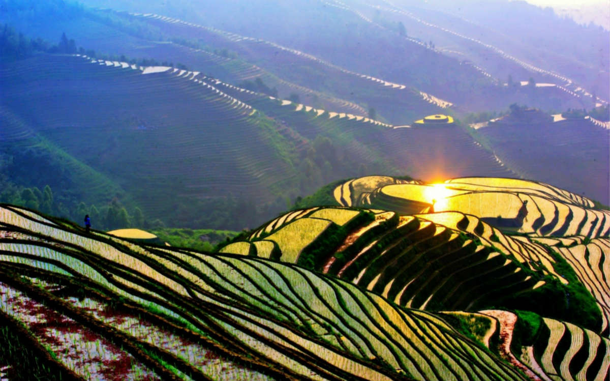 Rice-Terrace-Guilin-China