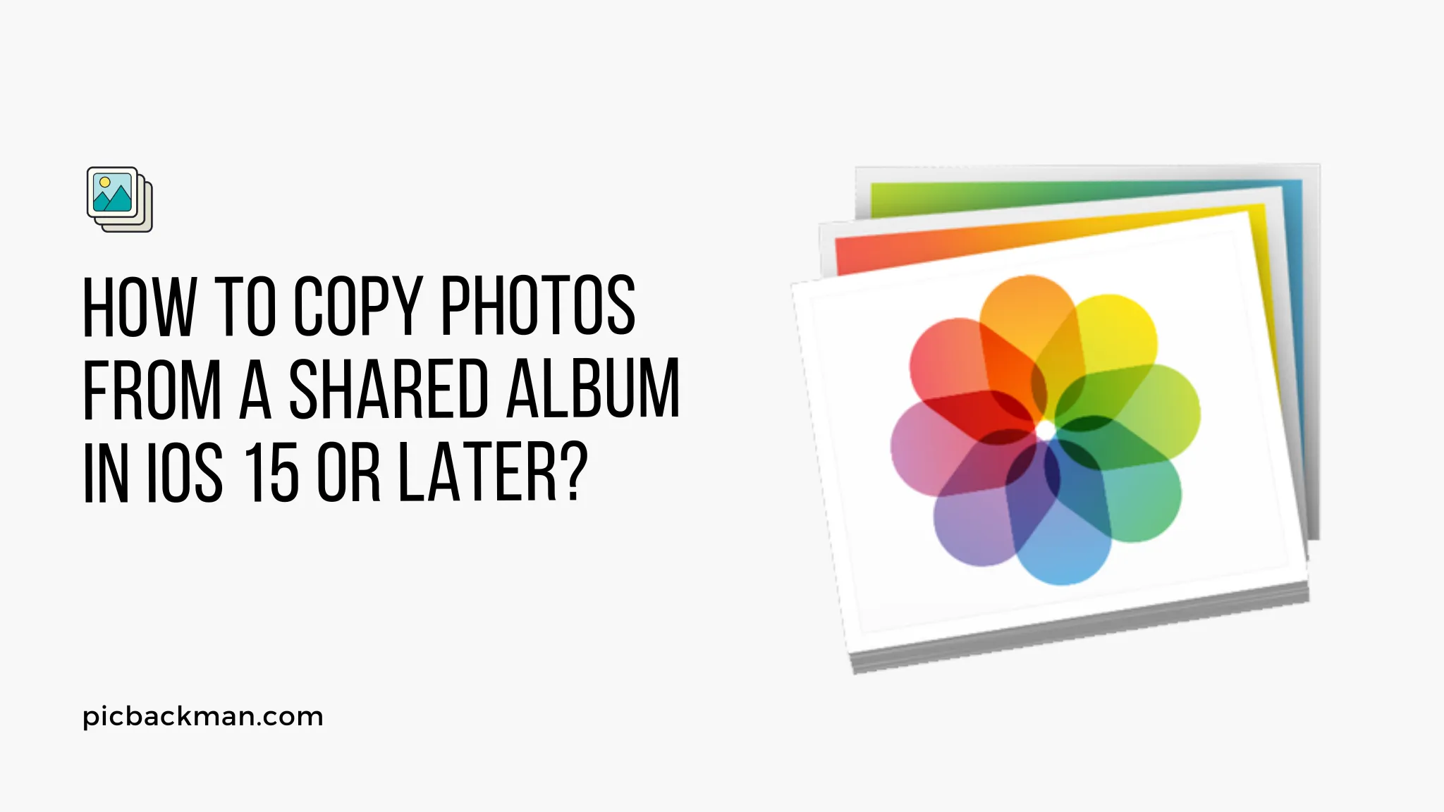 How to Copy Photos from a Shared Album in iOS 15 or Later?